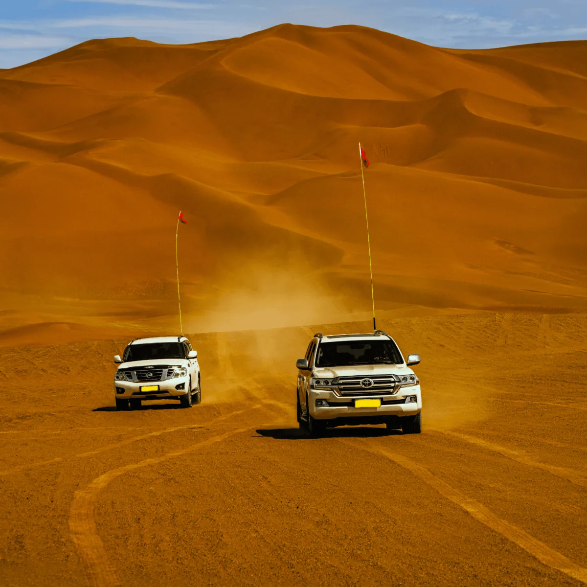 Dubai Express – Burj Khalifa, Dubai Mall & Desert Safari
