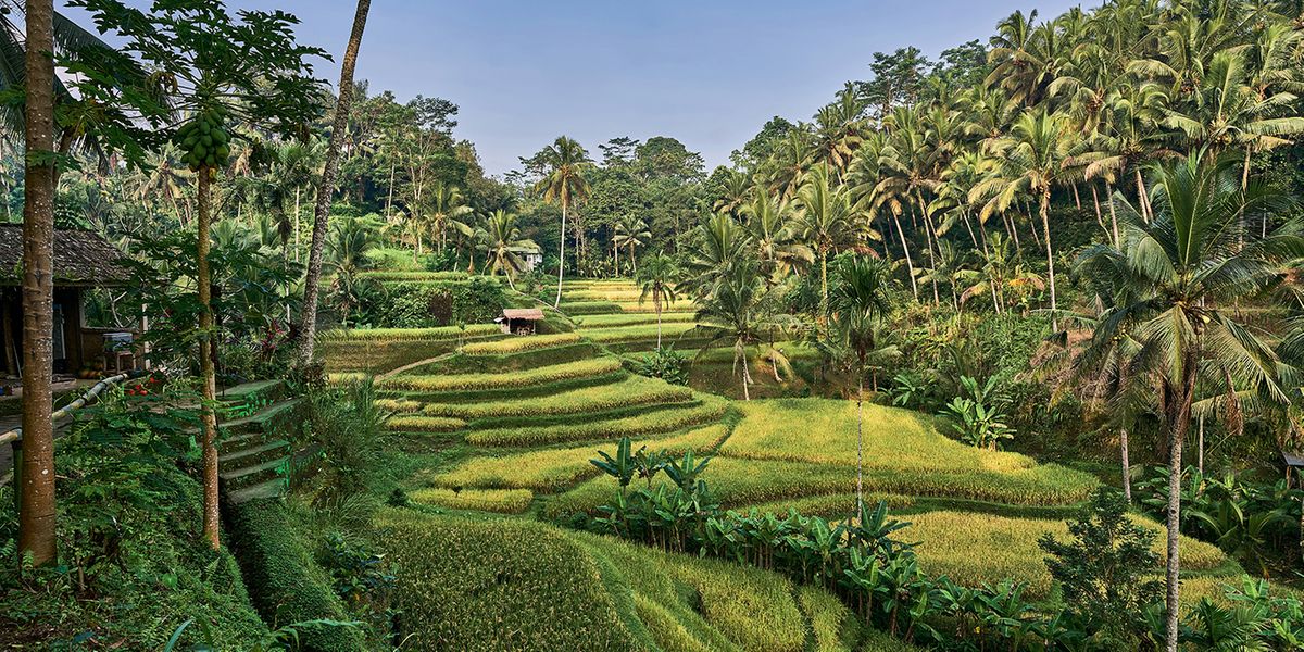 Bali Volcano Views & River Adventures