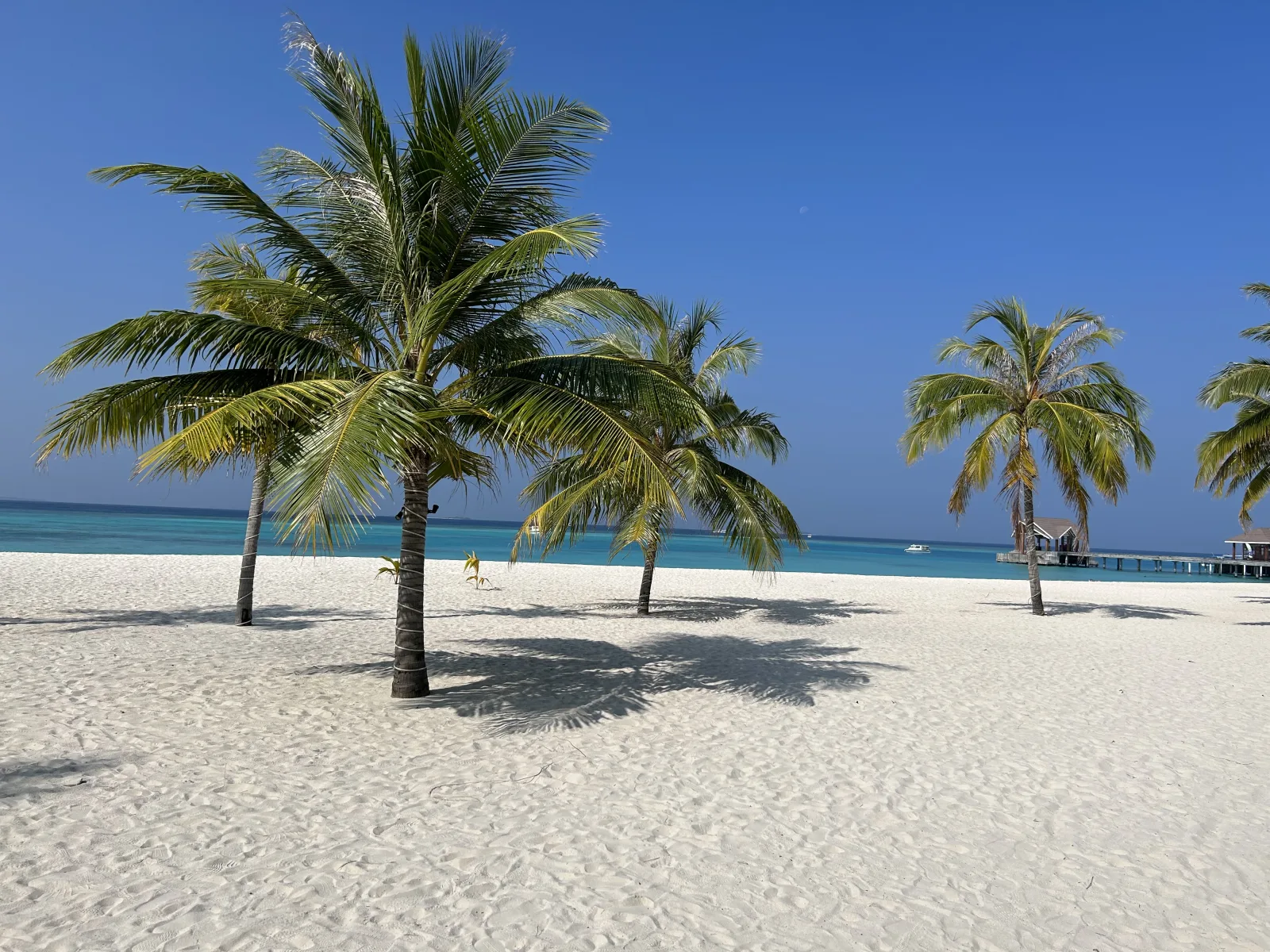 Maldives Luxury Honeymoon Retreat – Beach Villa, Water Villa & Romantic Experiences