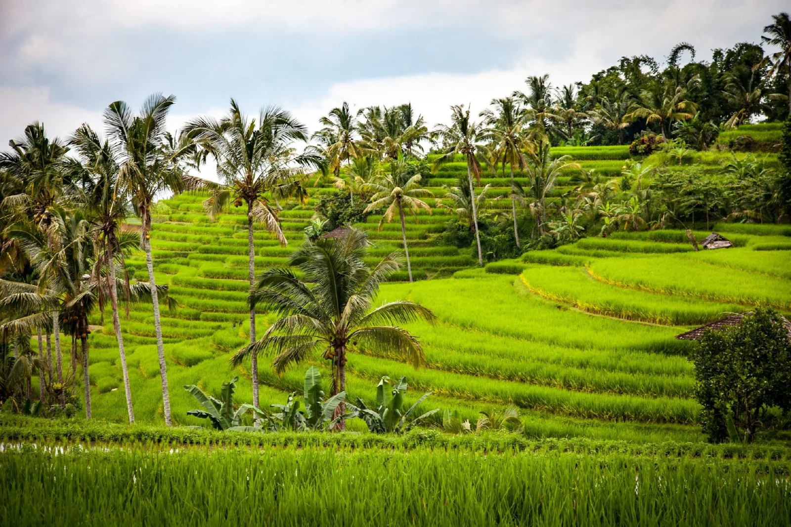 Bali Getaway – Kuta, Tanah Lot & Seminyak