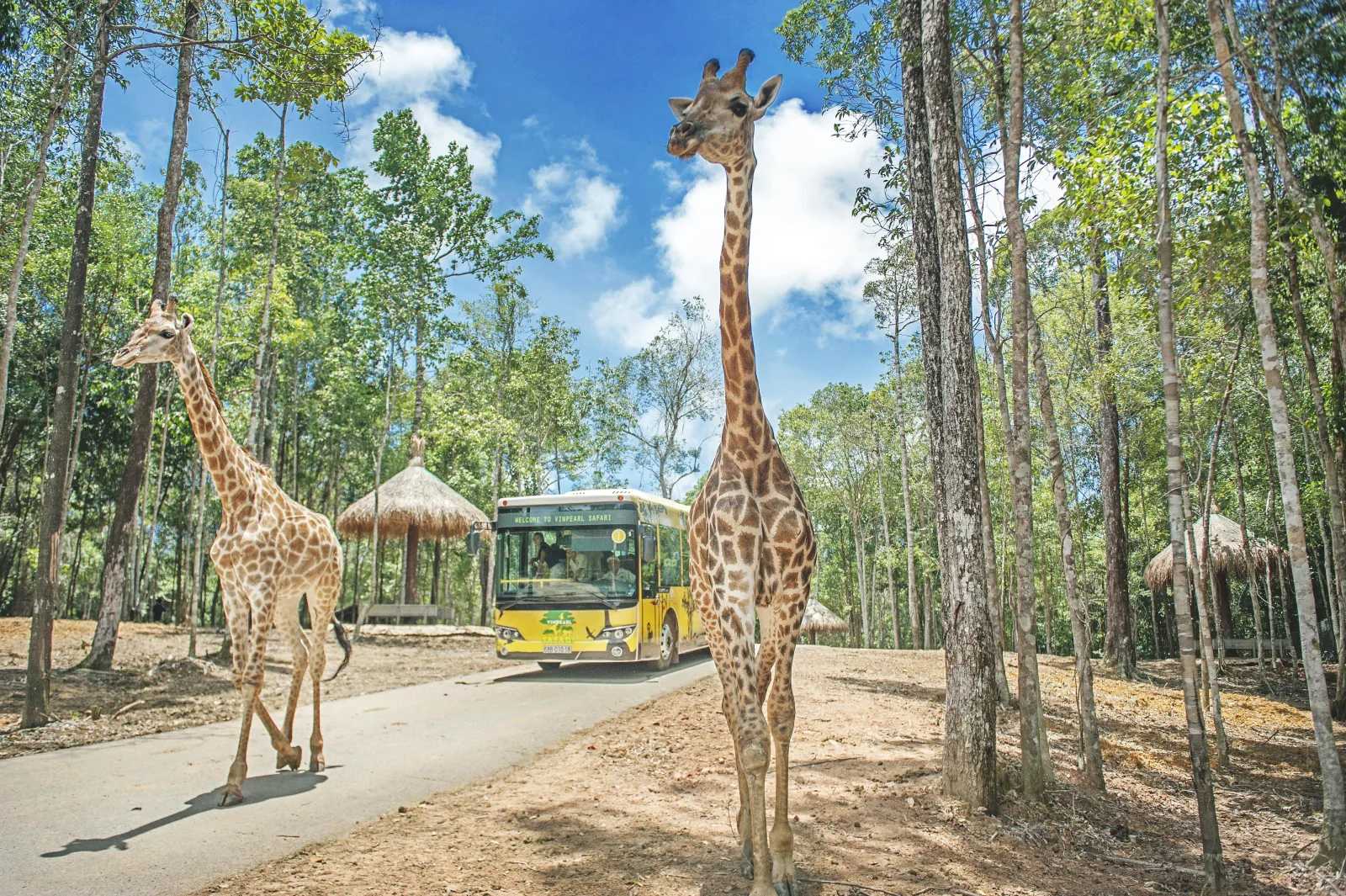 Phu Quoc Island Adventure